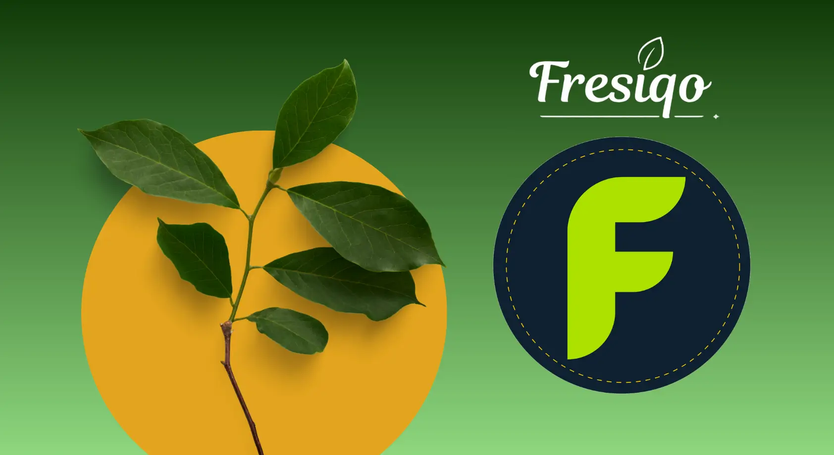 About Fresiqo