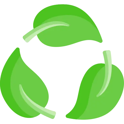 Eco Friendly Makhana - Sustainable packaging