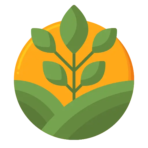 Farm to Table Makhana - Direct from local farmers